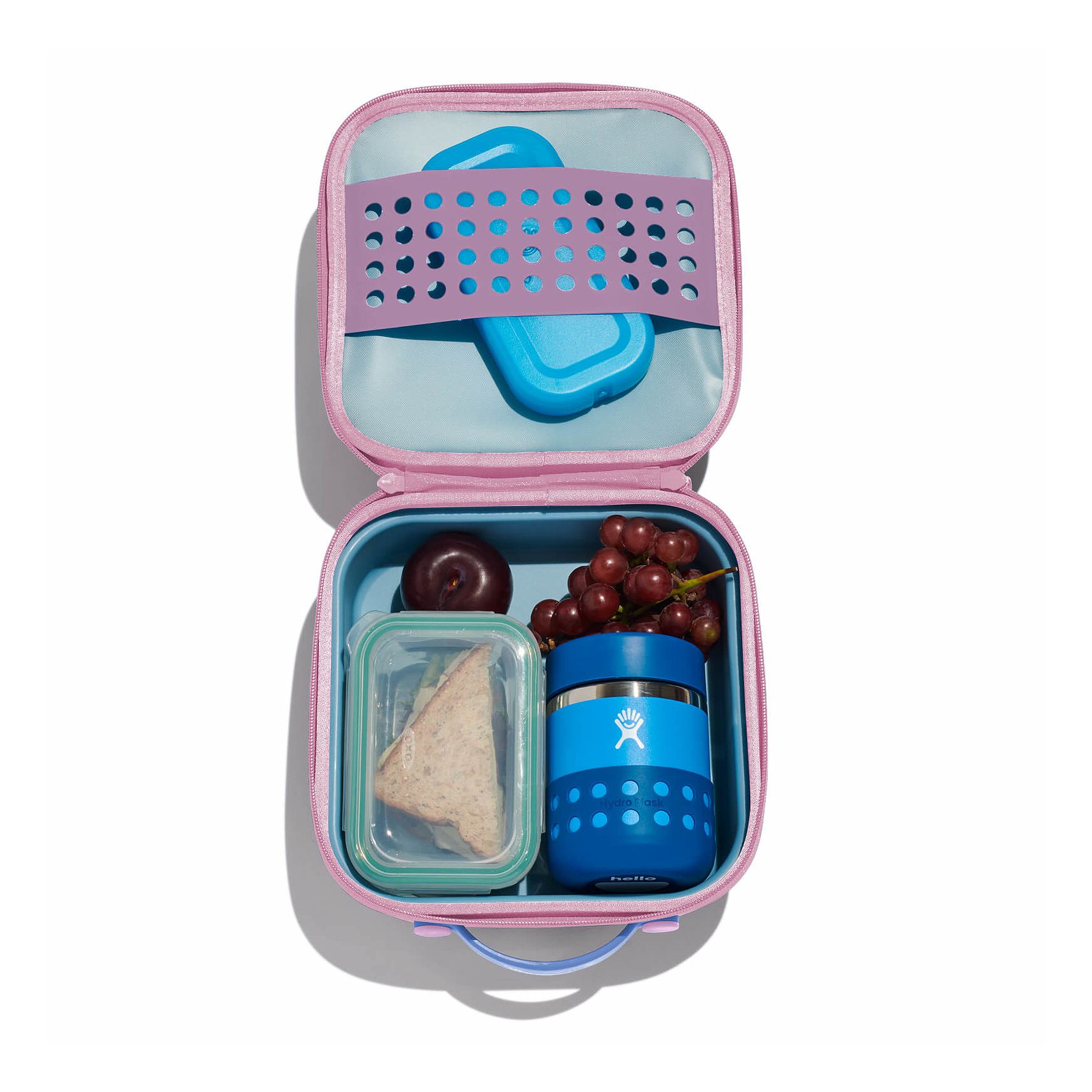 Hydro Flask Kids Insulated Lunch Box Anemone | UHEB-38447269