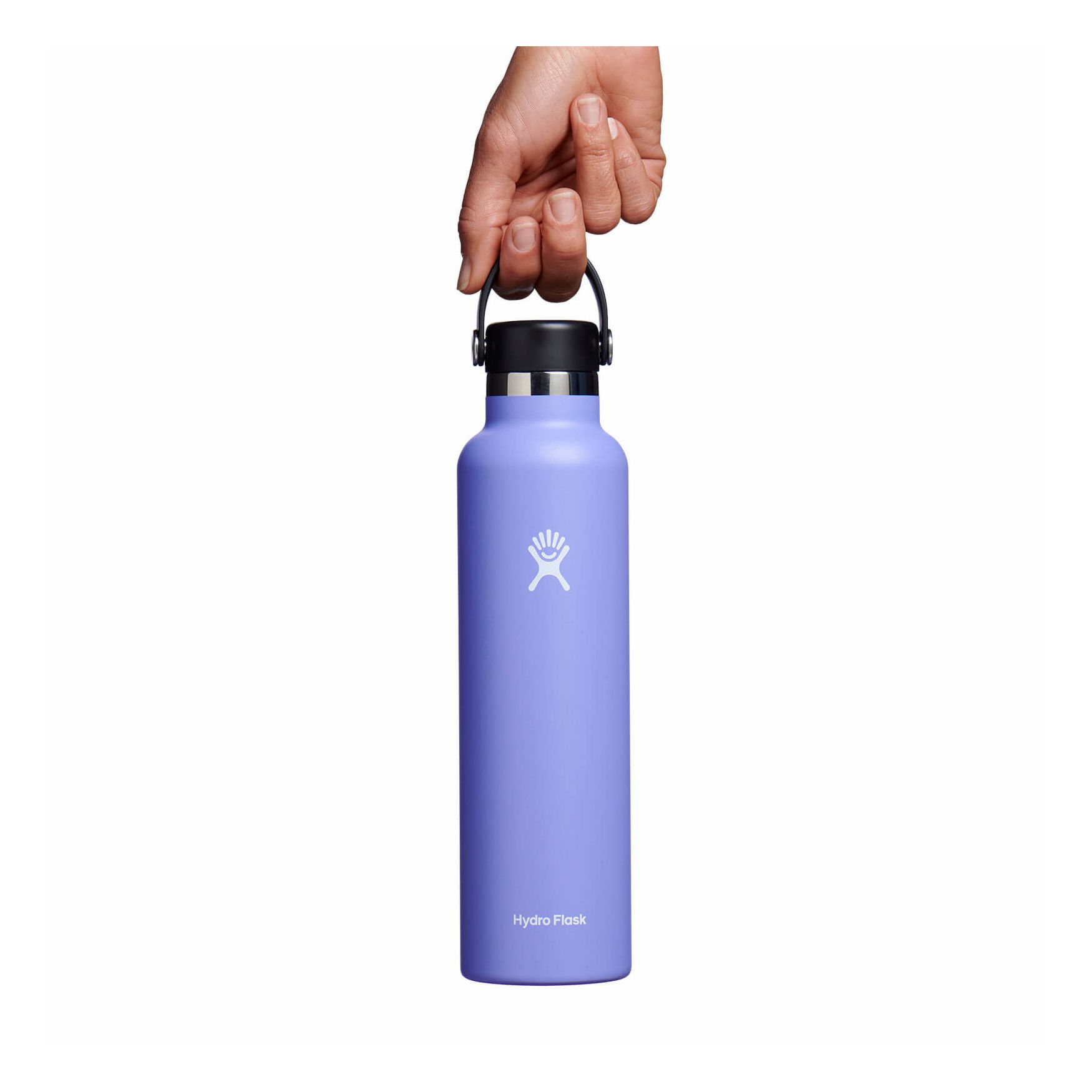 Hydro Flask 24 oz Standard Mouth Lupine | WYGP-05616314