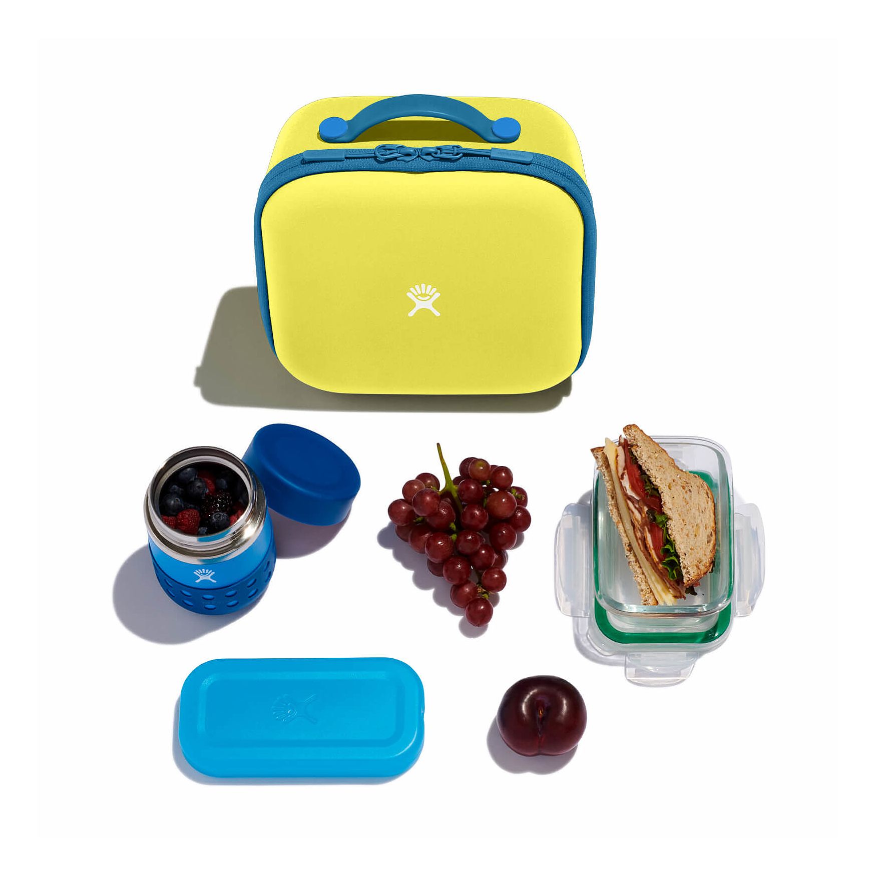 Hydro Flask Kids Insulated Lunch Box Cactus | SOUN-85390749